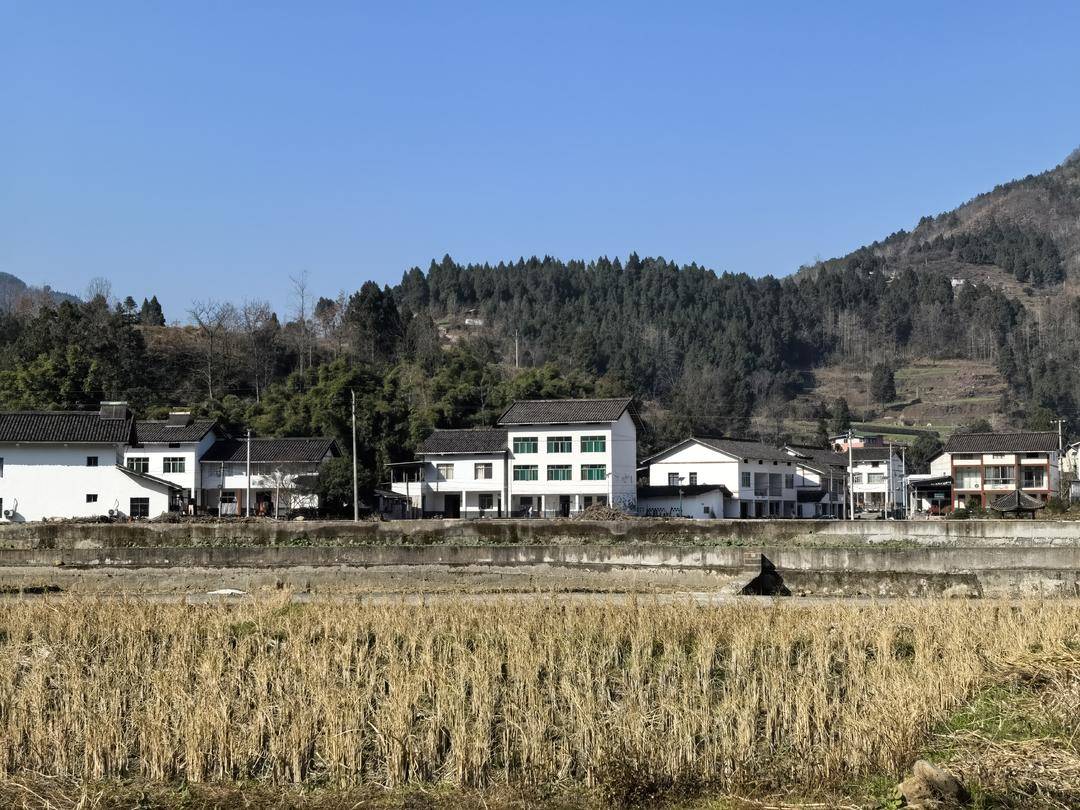 范家小學“學區房”裡的家長們｜封面深鏡