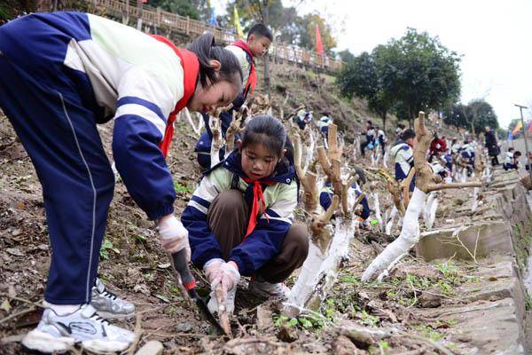 荒坡變課堂 這所小學創新特色勞動育人模式