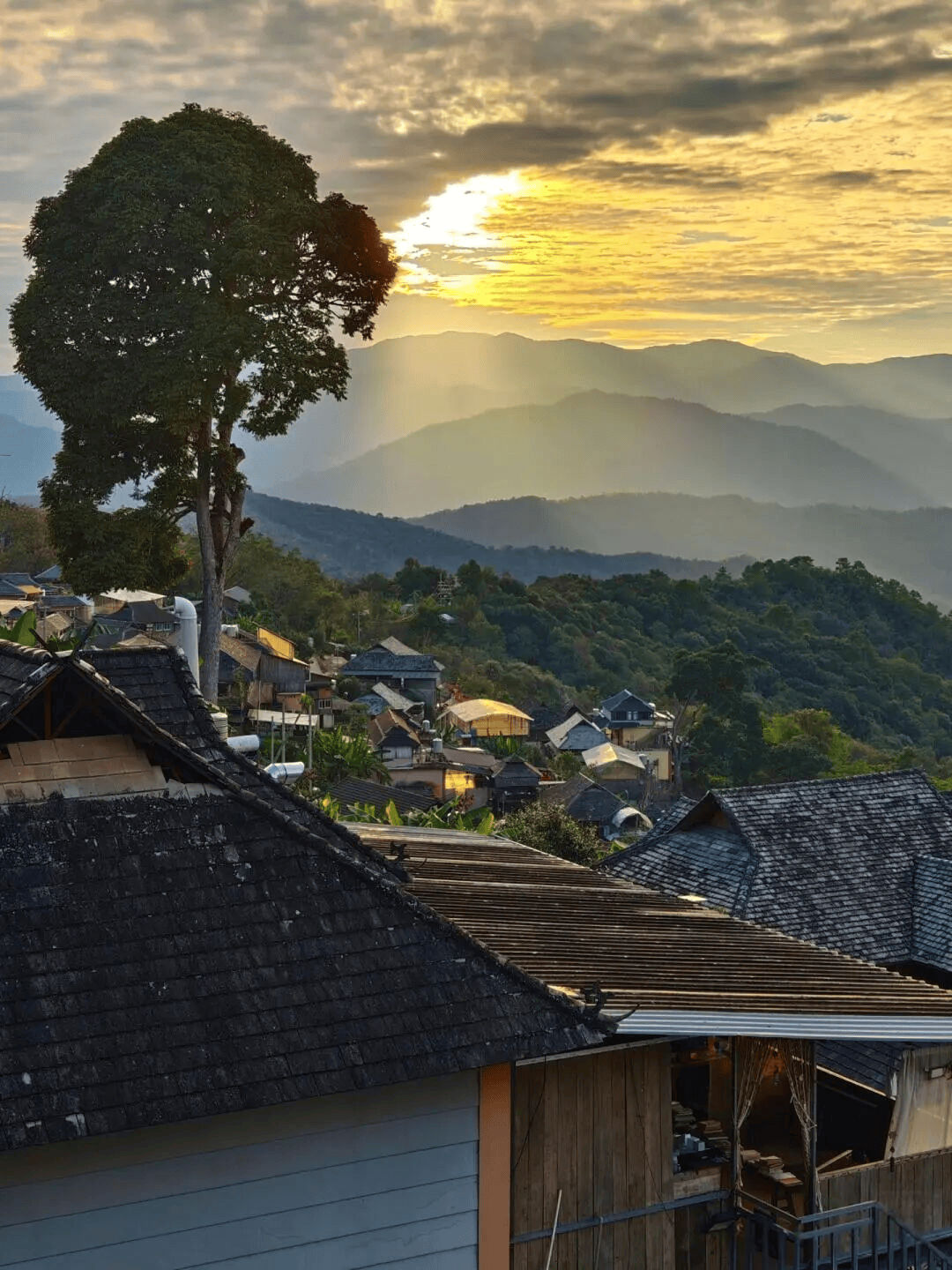 寒假湄旅遊：奔赴一場21℃的自然文化深度邂逅