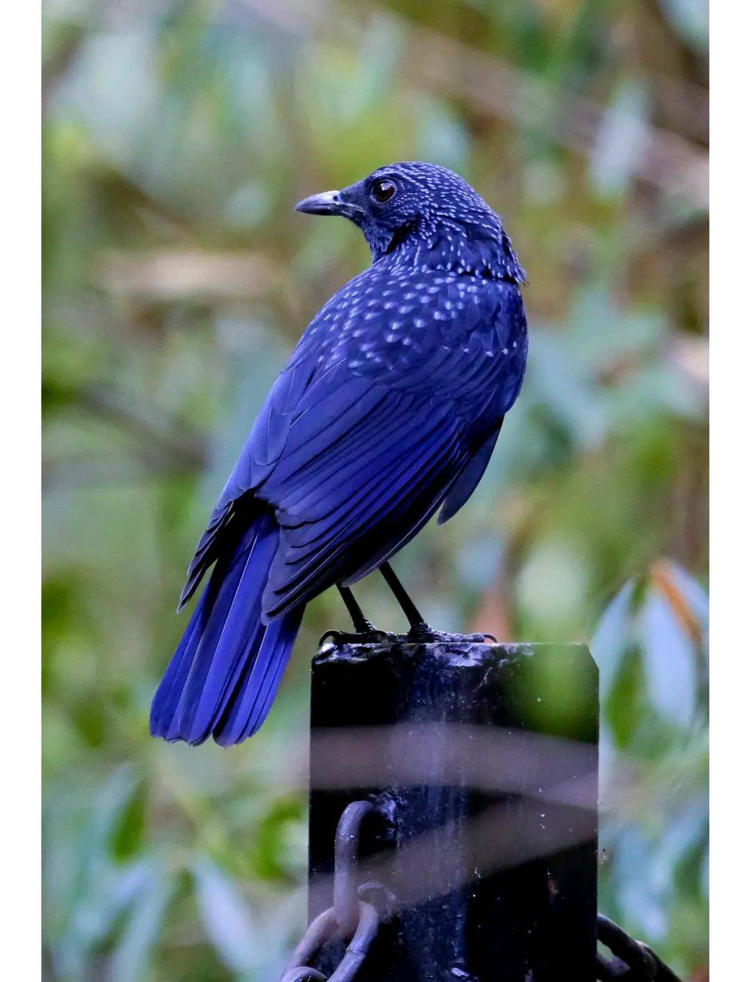 國際旅遊攝影網2026年國內外攝影路線全景指南