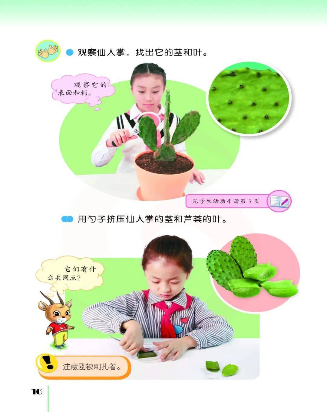 2026蘇教版五年級科學下冊電子課本(PDF高畫質版新教材)