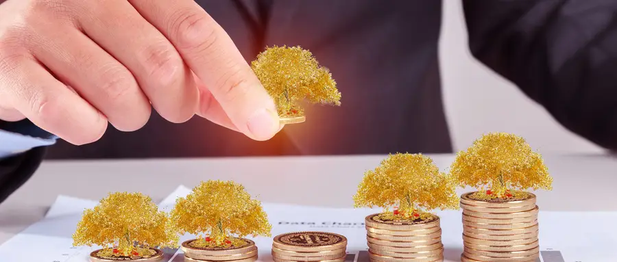 原創高中選專業：統計學、財政學、會計學誰更適配你的未來？