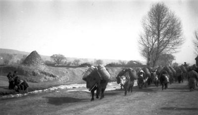 明朝如何用“快遞小哥”經略青藏？