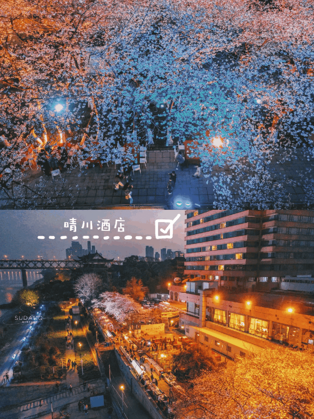 原創武漢賞櫻攻略請收藏！除了武大和東湖，還有這些免費打卡地哦