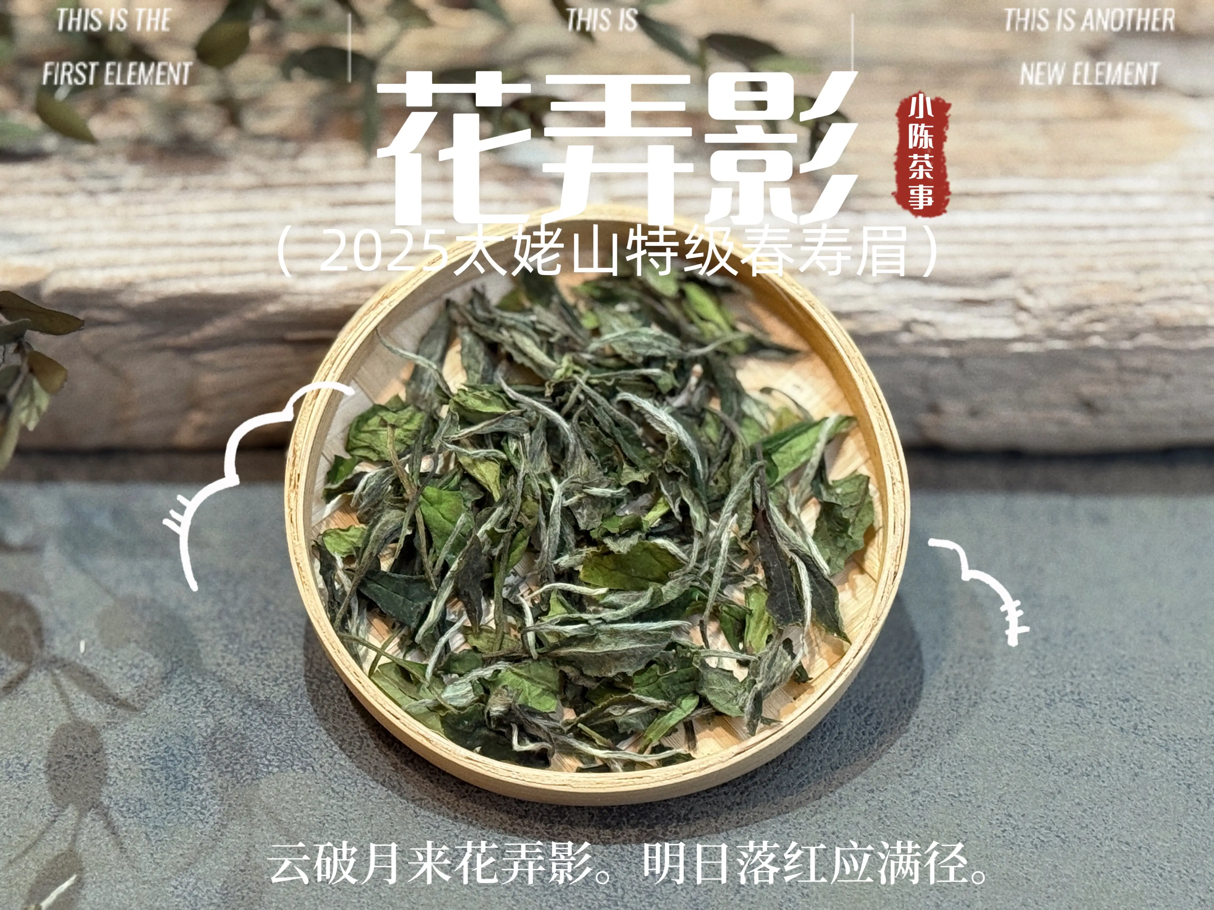 原創收藏白茶，我都只存白茶餅，因為散茶會跑氣串味變質？