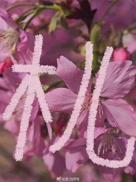 用八筆漢字收藏北京春日