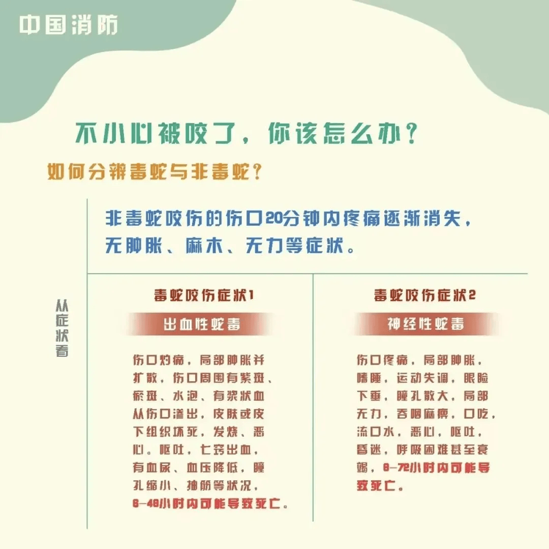 雲南3歲女童被眼鏡王蛇咬傷，“假死”3天后奇蹟生還！