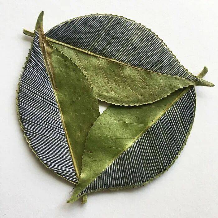 她用針線在幹樹葉上刺繡，最終完成的作品，讓人直呼驚豔