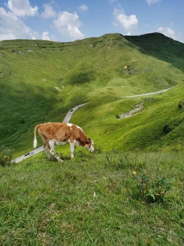 旅遊不如旅居｜這個暑假，換一種方式避暑 #旅居避暑聖地排名