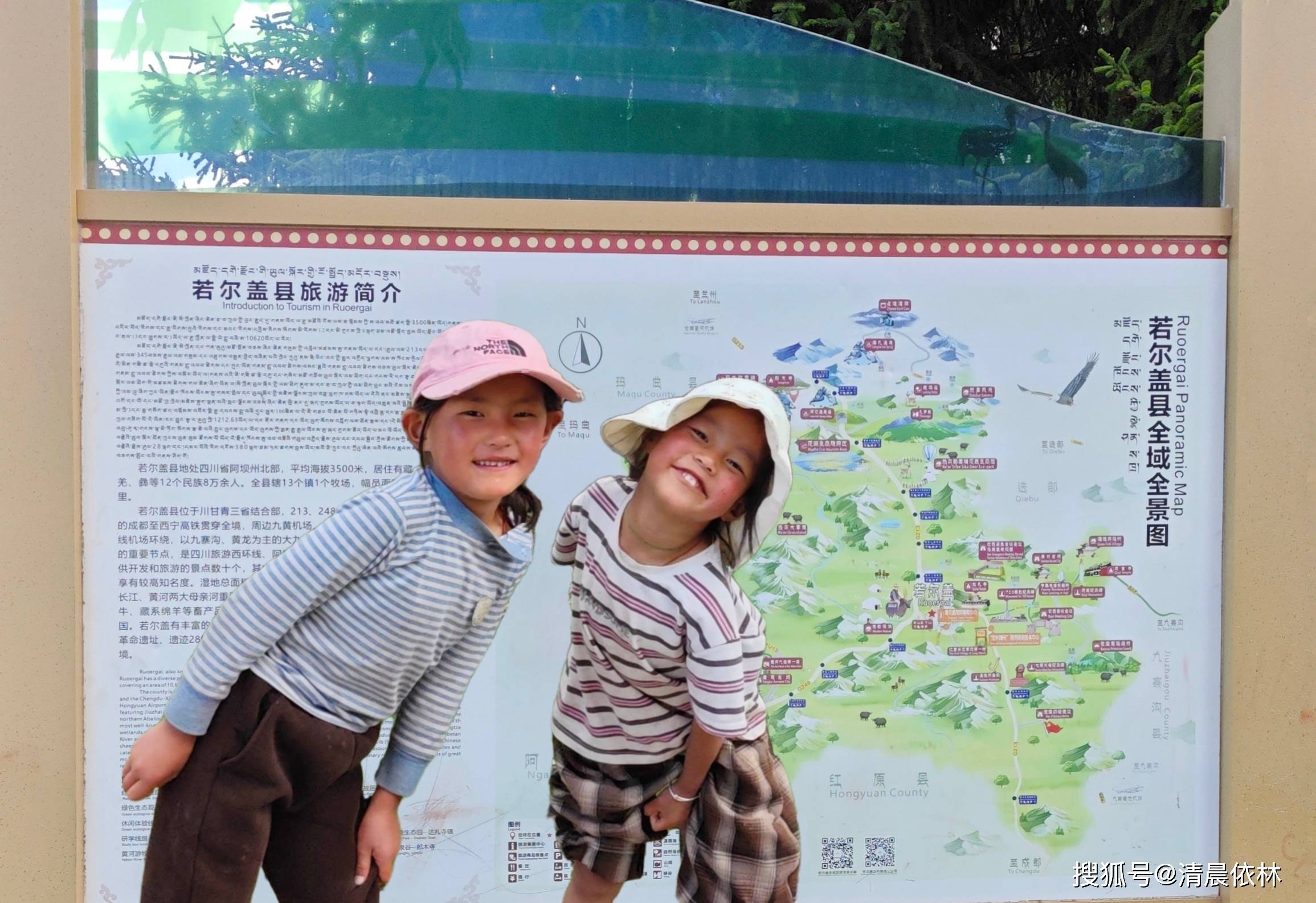 原創一位中學語文教師“行走語文”之十五：甘南行花海與靈猴