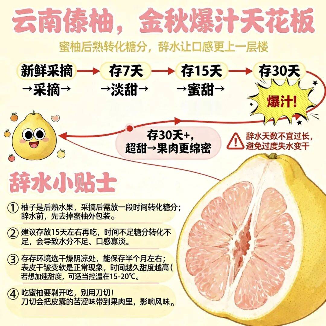 只有1%的人吃過！讓這些美食給你們一些清涼滋潤吧~【君之優選】