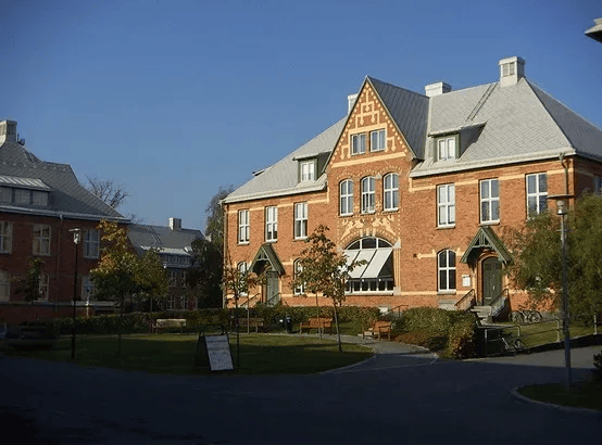 2026北歐留學：均分80雙非背景怎麼申請？選校對比全攻略