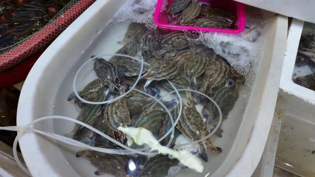 正大量上市！上海人喜歡的美食"性寒"？醫生支招，這樣放心吃